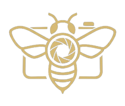 bee and nature lens logo